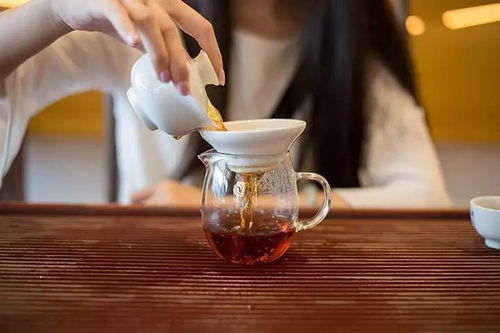 普洱熟茶的轉化歷程