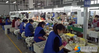 高質量推動快發展 邵陽洞口經濟開發區實現高效推進