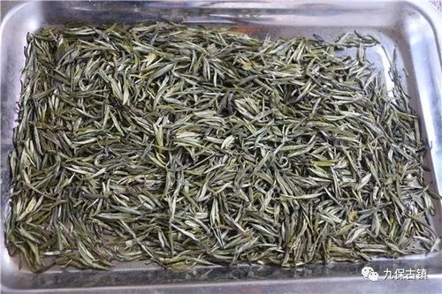 舌尖山水,昌鄉茶旅,擋不住的誘惑