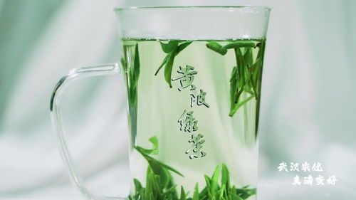 武漢優(yōu)質(zhì)農(nóng)產(chǎn)品黃陂茶葉 天庭瓊漿玉液 人間黃陂綠茶