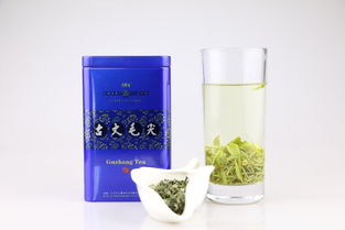 CCTV國家品牌計劃扶貧推薦產品 品味古丈毛尖，助力湘西振興——探訪古陽河75g精品古丈毛尖