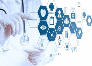 北京朝陽 筑夢創新創業高地，引領投資與商業新浪潮